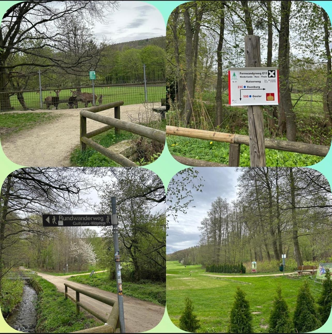 Kleine Auszeit Am Wildgehege Bad Harzburg Exterior foto